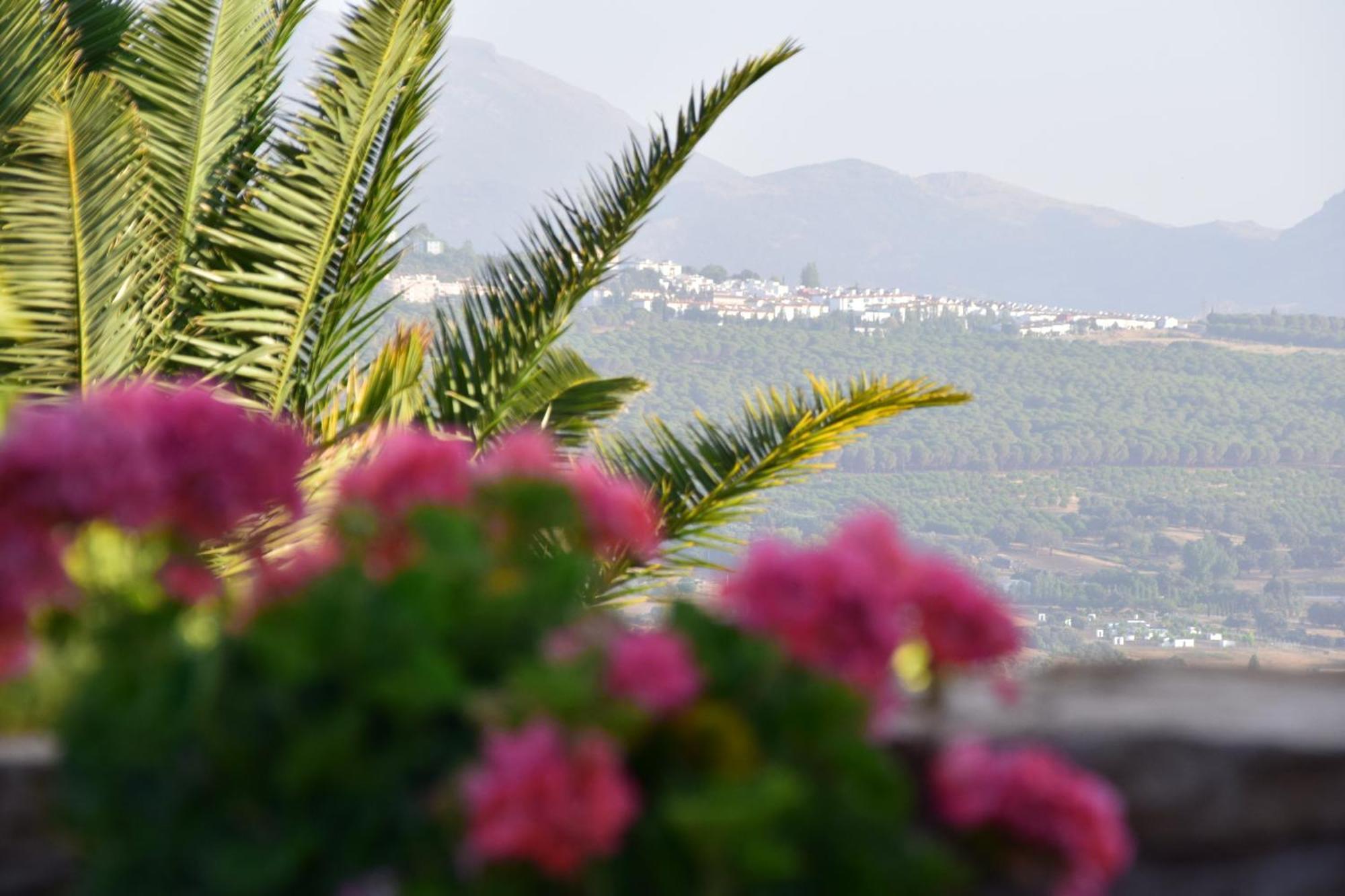 Villa Casa Alta Ronda Ngoại thất bức ảnh